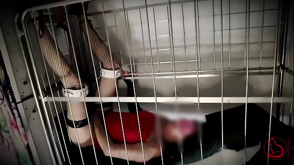 Slut captured for mating session at breeding farm. Strangers inseminate her once a year (breeding next gen species) – 60 FPS